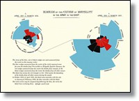 Gráfico de las causas de mortalidad en la Guerra del Este o Guerra de Crimea