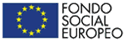 Logo FSE