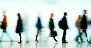 Imagen Órganos colegiados