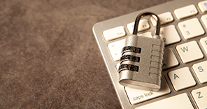 Image Anonymized microdata