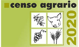Imagen Censo Agrario