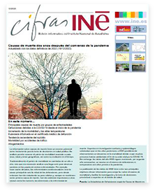 Imagen de Colección Cifras INE