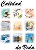 Imagen de Indicadores de Calidad de Vida