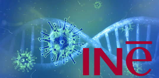 INE. Informacin COVID-19
