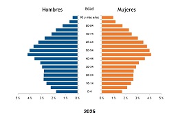 Imagen Pirámide de población