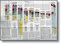 Diagramas sobre la actividad de los bancos centrales europeos