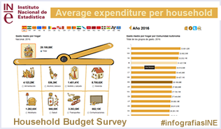 Infographics: Household Budget