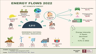 Infographics: Energy flows