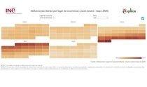 Infografía: Defunciones diarias