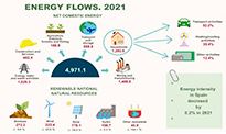 Infographics: Energy flows