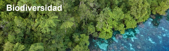 Ir a Biodiversidad