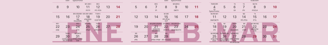 Versión imprimible Calendario estadísticas coyunturales