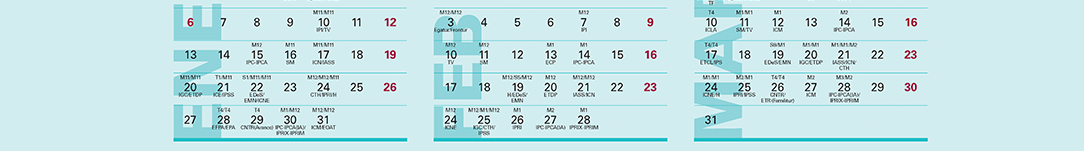 Versión imprimible Calendario estadísticas coyunturales