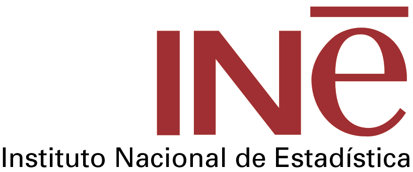 Image logo INE